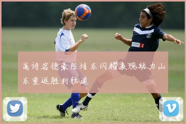 高诗岩德豪陈培东闪耀表现助力山东重返胜利轨道